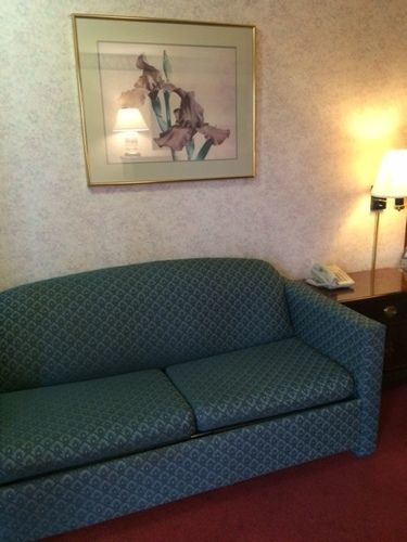 Brandermill Royal Inn Motel Richmond المظهر الخارجي الصورة