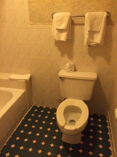 Brandermill Royal Inn Motel Richmond المظهر الخارجي الصورة